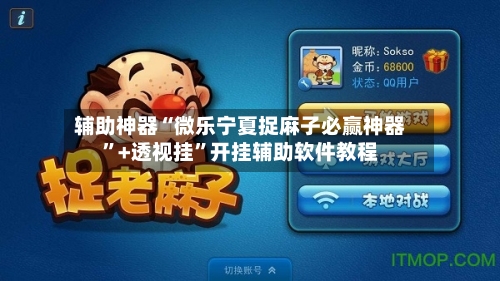 辅助神器“微乐宁夏捉麻子必赢神器”+透视挂”开挂辅助软件教程