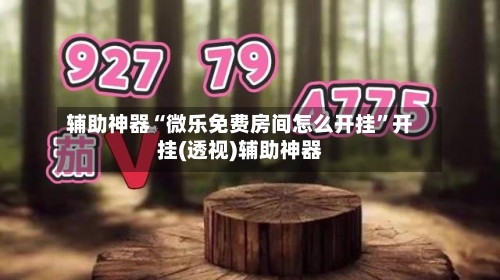 辅助神器“微乐免费房间怎么开挂”开挂(透视)辅助神器-第2张图片