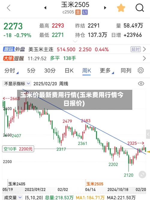 玉米价最新费用行情(玉米费用行情今日报价)