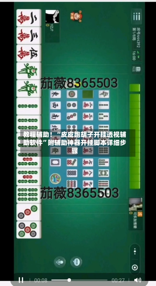 教程辅助！“皮皮跑胡子开挂透视辅助软件	”附辅助神器开挂脚本详细步骤-第2张图片