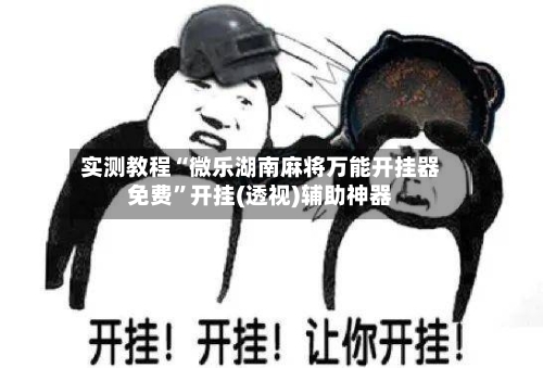 实测教程“微乐湖南麻将万能开挂器免费”开挂(透视)辅助神器-第3张图片
