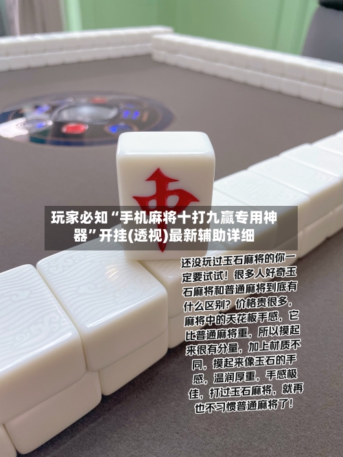 玩家必知“手机麻将十打九赢专用神器”开挂(透视)最新辅助详细-第2张图片