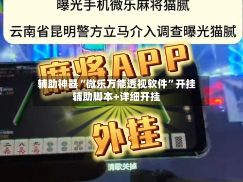 辅助神器“微乐万能透视软件”开挂辅助脚本+详细开挂-第3张图片