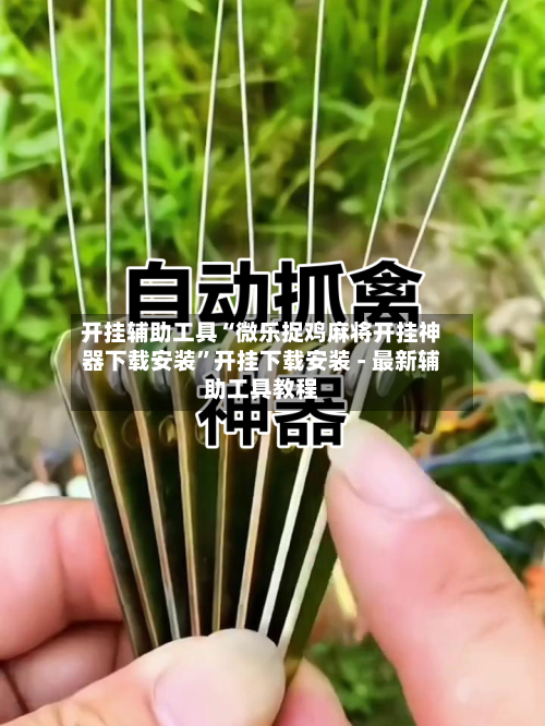 开挂辅助工具“微乐捉鸡麻将开挂神器下载安装”开挂下载安装 - 最新辅助工具教程-第3张图片