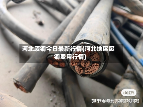 河北废铜今日最新行情(河北地区废铜费用行情)-第2张图片