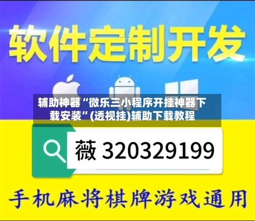 辅助神器“微乐三小程序开挂神器下载安装”(透视挂)辅助下载教程-第2张图片