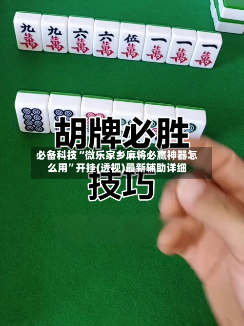 必备科技“微乐家乡麻将必赢神器怎么用	”开挂(透视)最新辅助详细-第2张图片