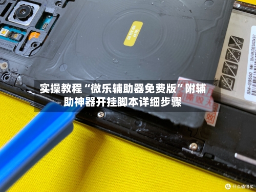 实操教程“微乐辅助器免费版”附辅助神器开挂脚本详细步骤-第2张图片