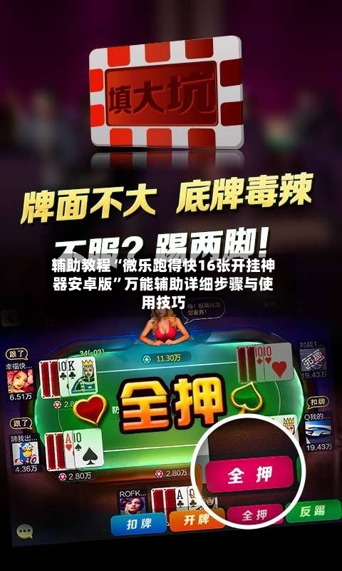 辅助教程“微乐跑得快16张开挂神器安卓版”万能辅助详细步骤与使用技巧-第2张图片