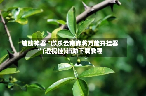 辅助神器“微乐云南麻将万能开挂器”(透视挂)辅助下载教程-第2张图片