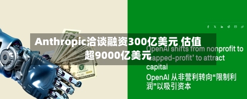 Anthropic洽谈融资300亿美元 估值超9000亿美元-第2张图片
