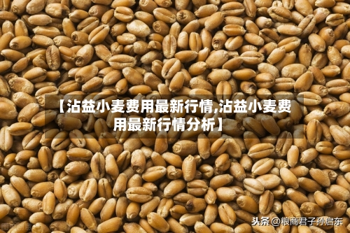 【沾益小麦费用最新行情,沾益小麦费用最新行情分析】-第2张图片