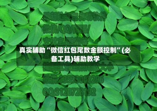 真实辅助“微信红包尾数金额控制”(必备工具)辅助教学-第2张图片