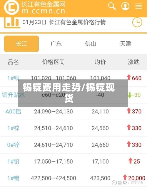 锡锭费用走势/锡锭现货