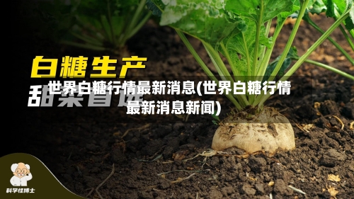 世界白糖行情最新消息(世界白糖行情最新消息新闻)-第2张图片