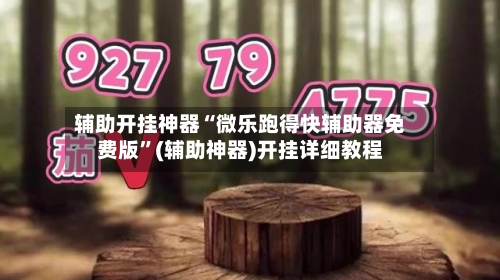 辅助开挂神器“微乐跑得快辅助器免费版”(辅助神器)开挂详细教程-第2张图片