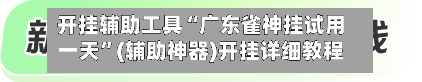 开挂辅助工具“广东雀神挂试用一天”(辅助神器)开挂详细教程
