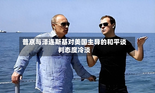 普京与泽连斯基对美国主导的和平谈判态度冷淡-第3张图片