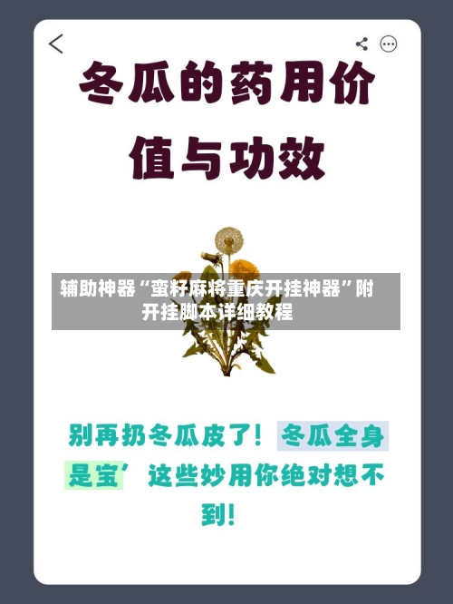 辅助神器“蛮籽麻将重庆开挂神器”附开挂脚本详细教程