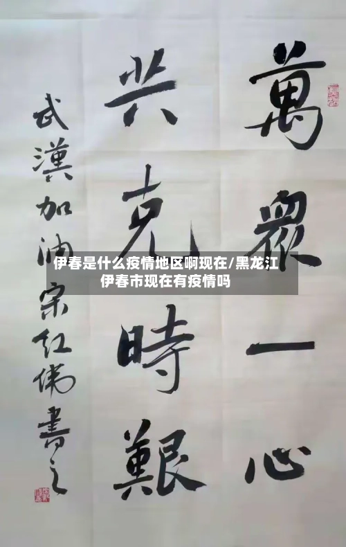 伊春是什么疫情地区啊现在/黑龙江伊春市现在有疫情吗