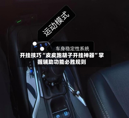 开挂技巧“皮皮跑胡子开挂神器”掌握辅助功能必胜规则-第3张图片