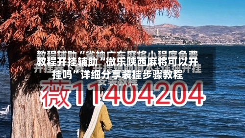 教程开挂辅助“微乐陕西麻将可以开挂吗	”详细分享装挂步骤教程-第2张图片