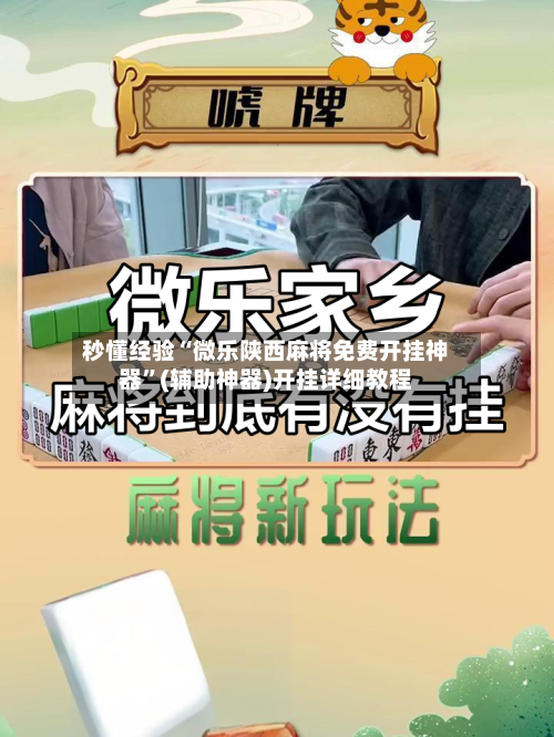 秒懂经验“微乐陕西麻将免费开挂神器	”(辅助神器)开挂详细教程-第2张图片