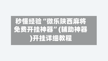 秒懂经验“微乐陕西麻将免费开挂神器”(辅助神器)开挂详细教程-第3张图片