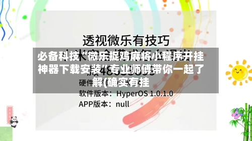 必备科技“微乐捉鸡麻将小程序开挂神器下载安装”专业师傅带你一起了解(确实有挂-第3张图片