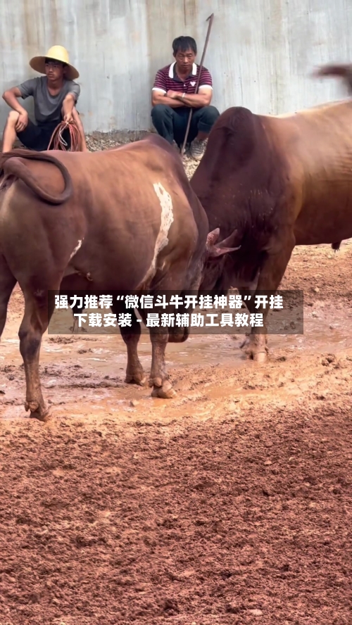 强力推荐“微信斗牛开挂神器”开挂下载安装 - 最新辅助工具教程-第3张图片
