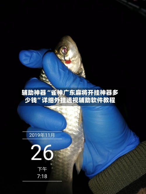 辅助神器“雀神广东麻将开挂神器多少钱”详细外挂透视辅助软件教程-第2张图片
