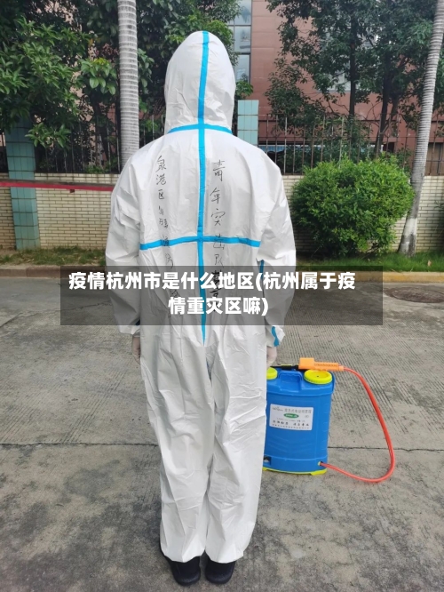 疫情杭州市是什么地区(杭州属于疫情重灾区嘛)-第2张图片