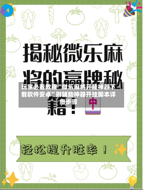 玩家必看教程“微乐麻将开挂神器下载软件安卓”附辅助神器开挂脚本详细步骤-第3张图片
