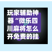 玩家辅助神器“微乐四川麻将怎么开免费的挂”开挂神器{透视辅助}全揭秘