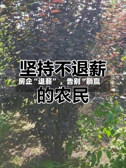 房企“退薪” ，告别“躺赢	”-第2张图片