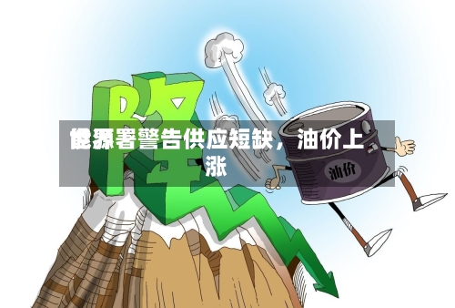世界能源署警告供应短缺	，油价上涨-第2张图片