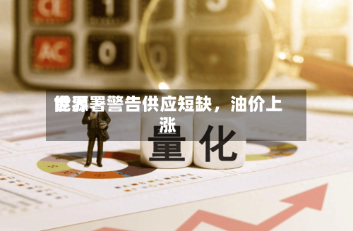世界能源署警告供应短缺	，油价上涨-第3张图片