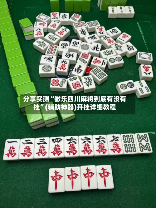分享实测“微乐四川麻将到底有没有挂”(辅助神器)开挂详细教程