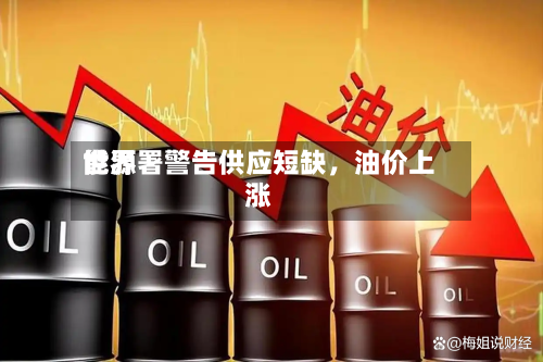 世界能源署警告供应短缺	，油价上涨-第2张图片