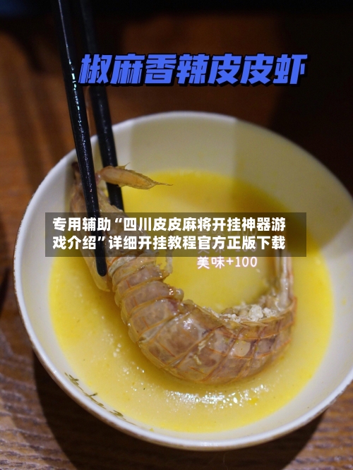 专用辅助“四川皮皮麻将开挂神器游戏介绍”详细开挂教程官方正版下载-第3张图片