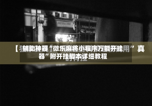 辅助神器“微乐麻将小程序万能开挂器”附开挂脚本详细教程-第2张图片