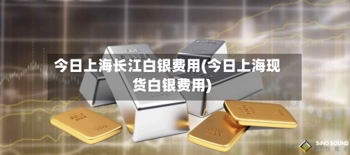 今日上海长江白银费用(今日上海现货白银费用)