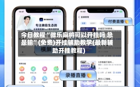 今日教程“微乐麻将可以开挂吗 总是输”(免费)开挂辅助教学(最新辅助开挂教程)-第2张图片