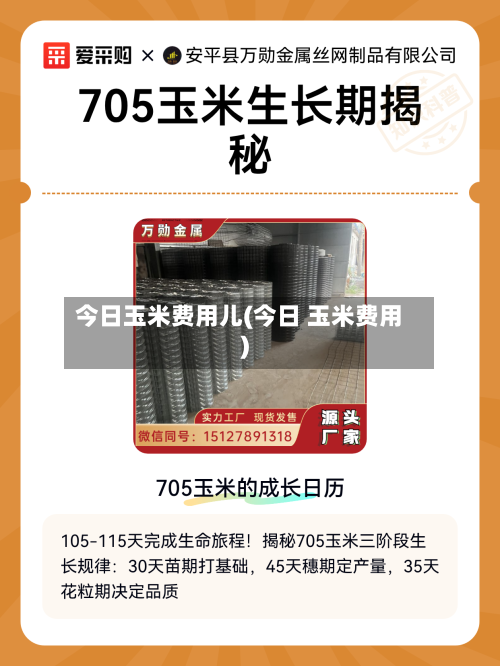 今日玉米费用儿(今日 玉米费用)-第2张图片