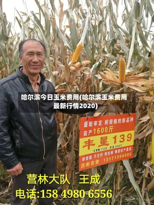 哈尔滨今日玉米费用(哈尔滨玉米费用最新行情2020)-第2张图片