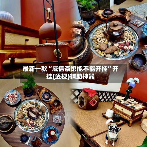 最新一款“威信茶馆能不能开挂”开挂(透视)辅助神器-第2张图片