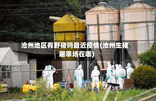 沧州地区有野猪吗最近疫情(沧州生猪屠宰场在哪)-第2张图片