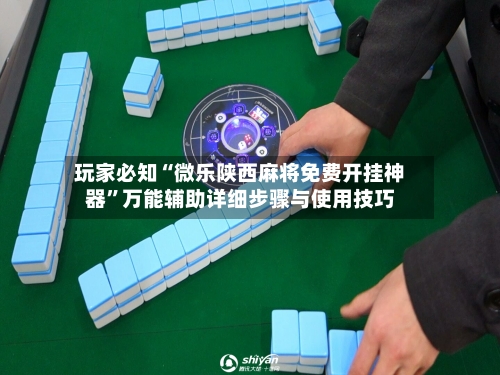 玩家必知“微乐陕西麻将免费开挂神器”万能辅助详细步骤与使用技巧-第2张图片