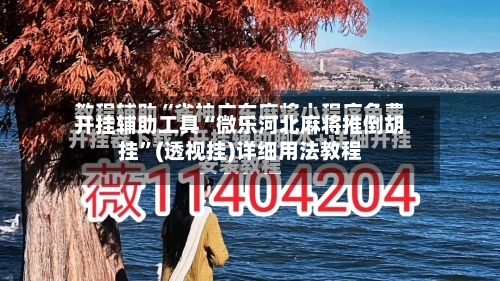 开挂辅助工具“微乐河北麻将推倒胡挂”(透视挂)详细用法教程