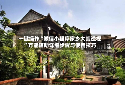 一键操作“微信小程序家乡大贰透视”万能辅助详细步骤与使用技巧-第3张图片